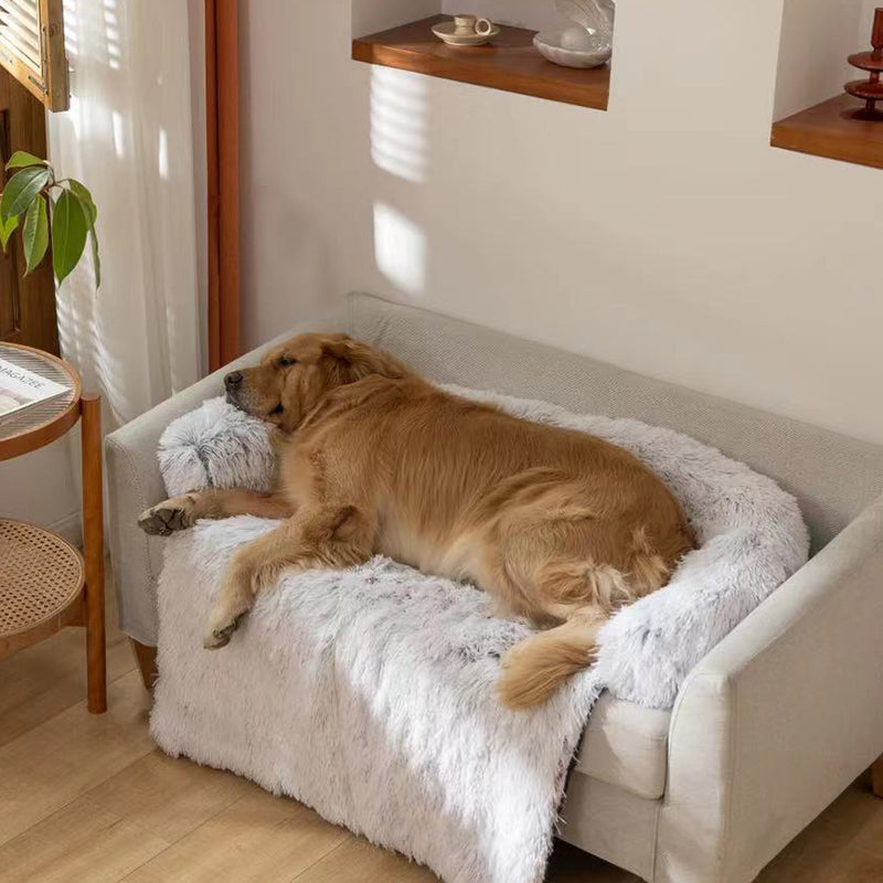 Jackson shop dog sofa